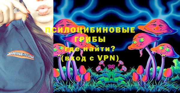 гидра Алексеевка