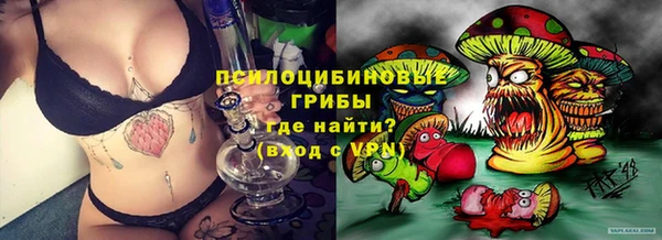 гидра Алексеевка