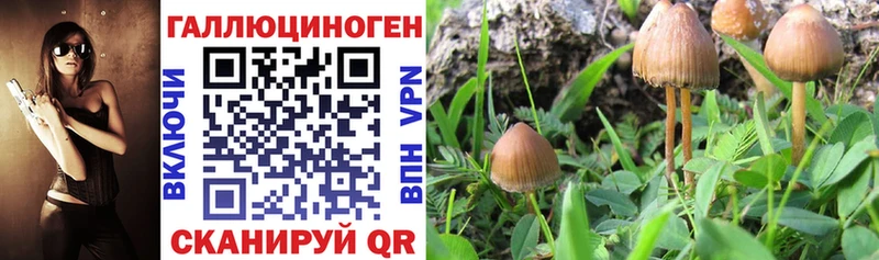 Псилоцибиновые грибы мухоморы  Асбест 